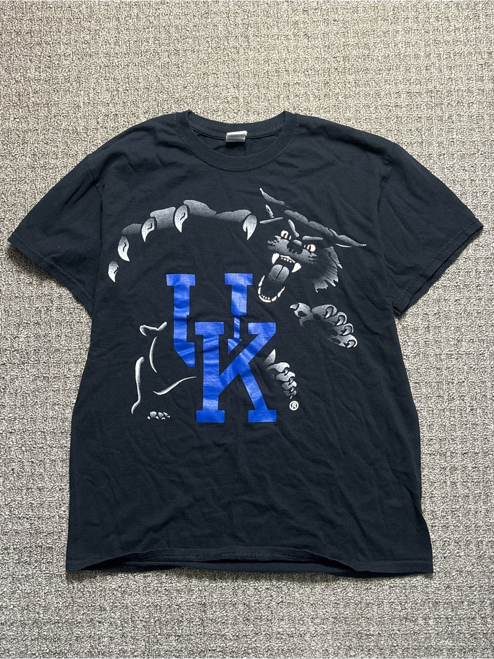Y2K 2000s style University of Kentucky Graphic Tee | $20